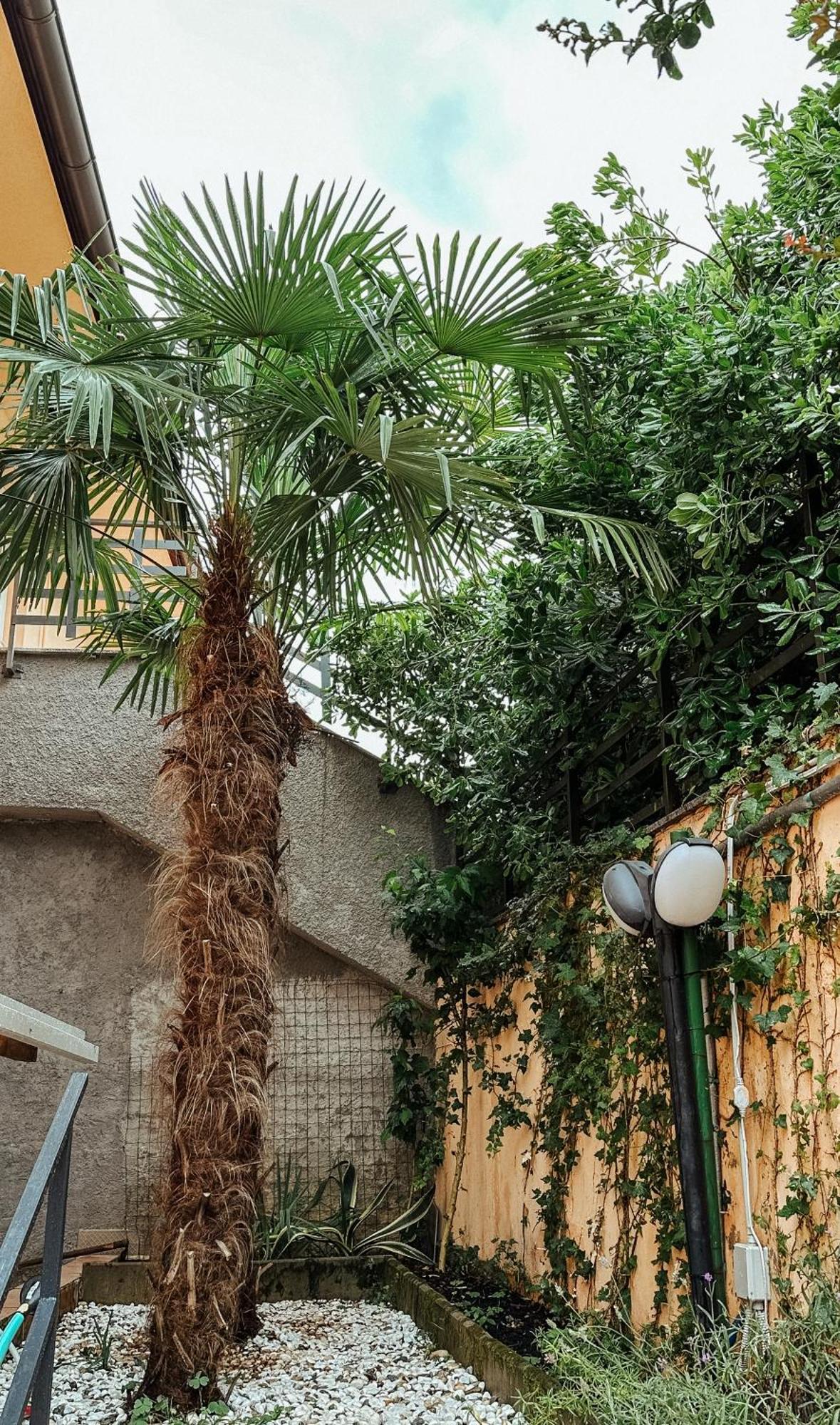 Apartmani Jelena Abbázia Kültér fotó